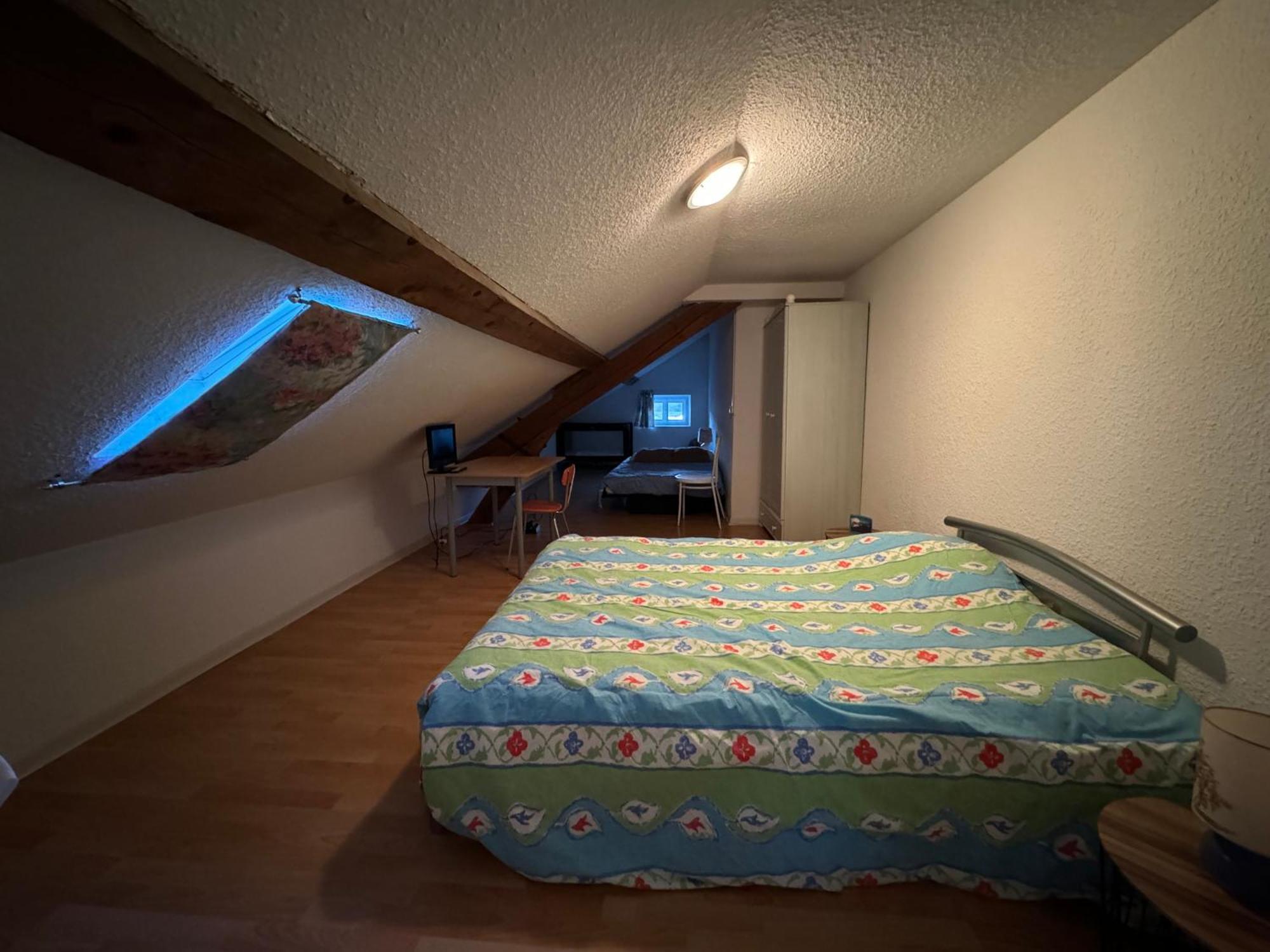 Appartement Logis Balneen Bains-les-Bains Exteriér fotografie